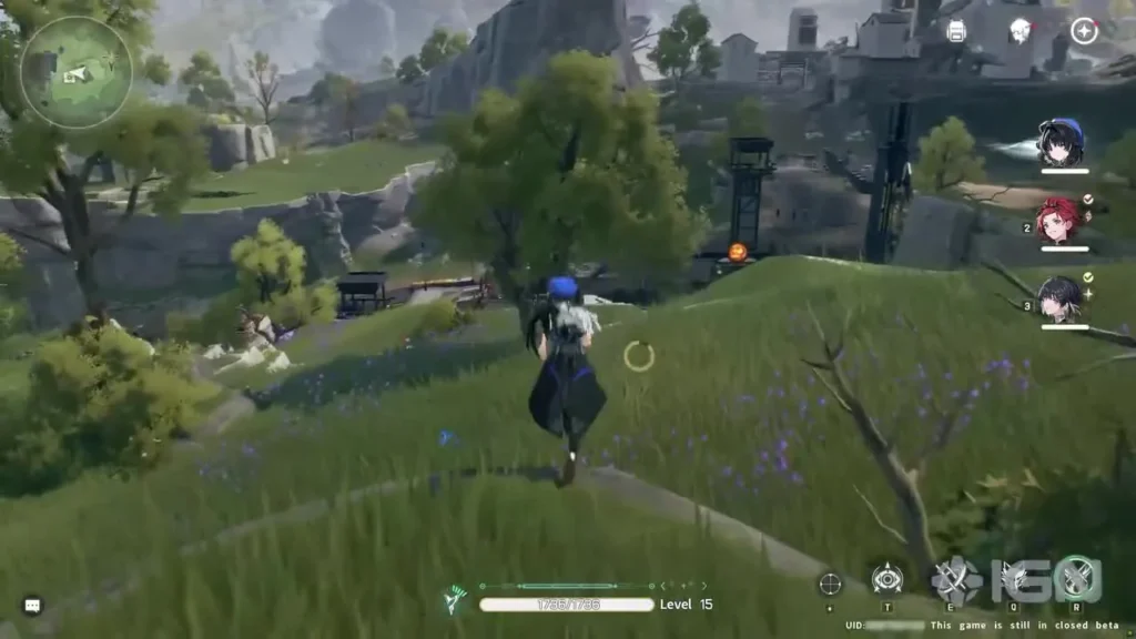 wuthering waves lagging on pc