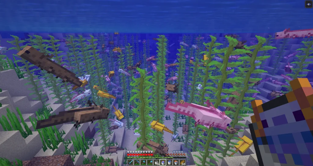 minecraft axolotl Can you breed axolotls in minecraft?