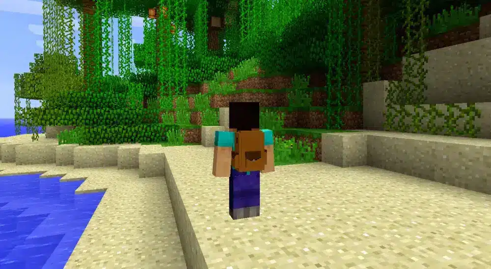 Advanced backpack tips for survival and multiplayer minecraft backpack