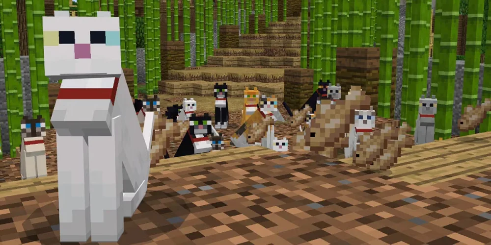 How to tame a cat in Minecraft: complete taming guide