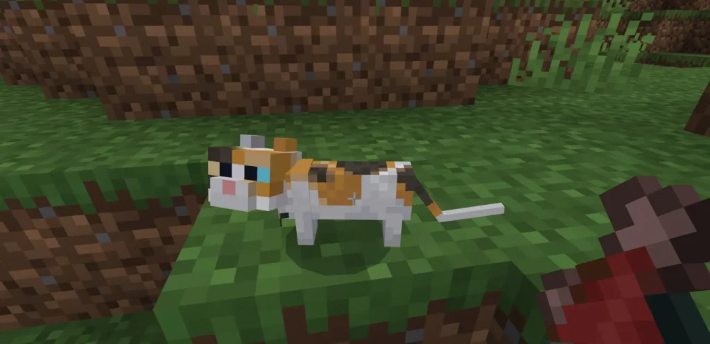 how to tame a cat in minecraft Why should you breed cats in Minecraft
