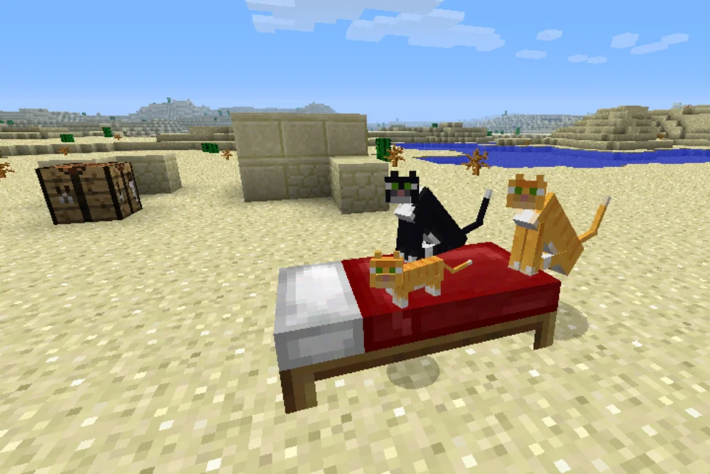 how to tame a cat in minecraft What types of cats can you tame in Minecraft