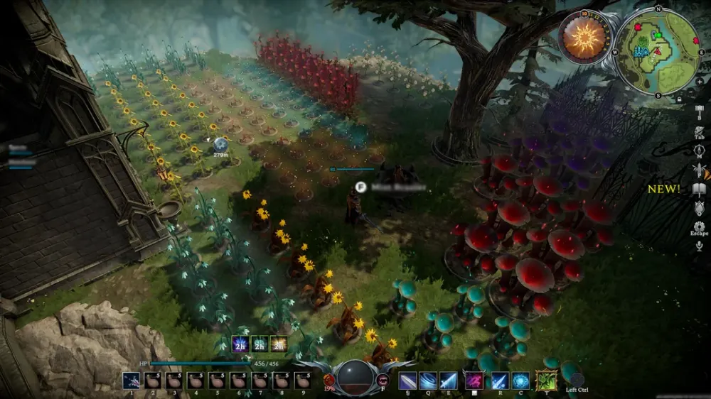 How Many Seeds Are in V Rising? What They Are and How to Use Them