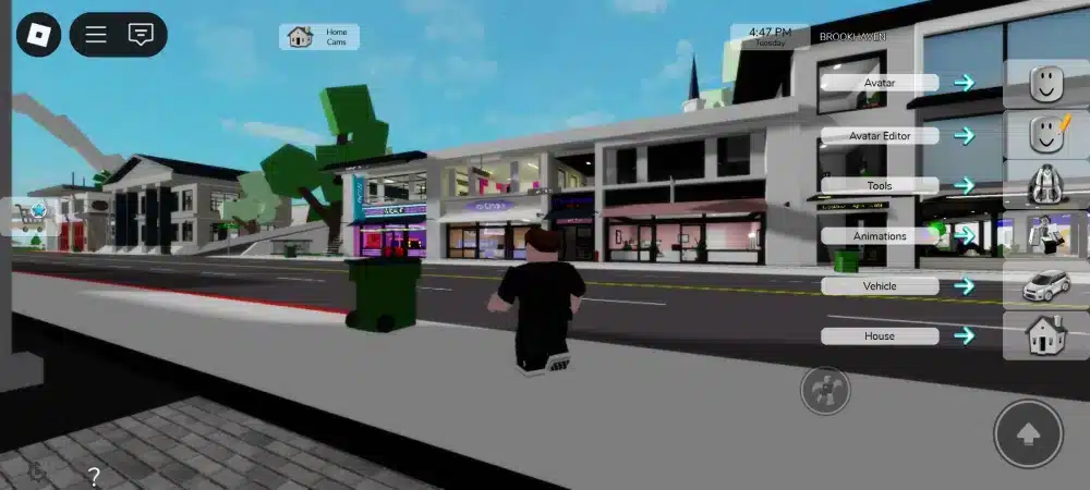 Community features that make Brookhaven special roblox brookhaven