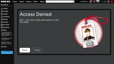 What Causes an IP Ban on Roblox?