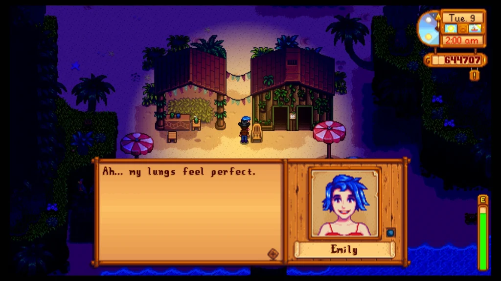 where is emily stardew valley