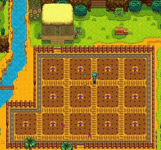 how to get ancient fruit seeds stardew valley
