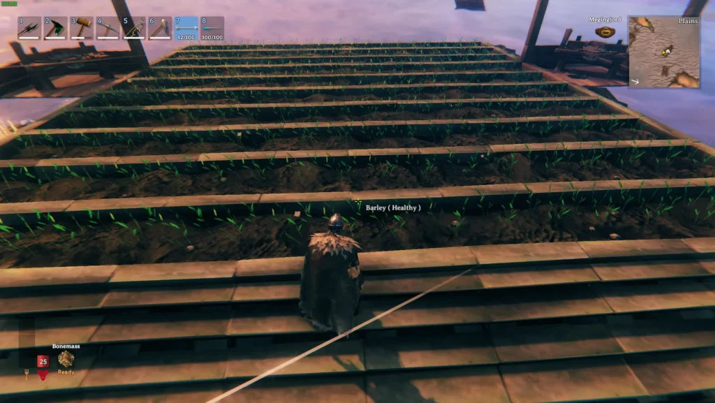 how to plant seeds valheim