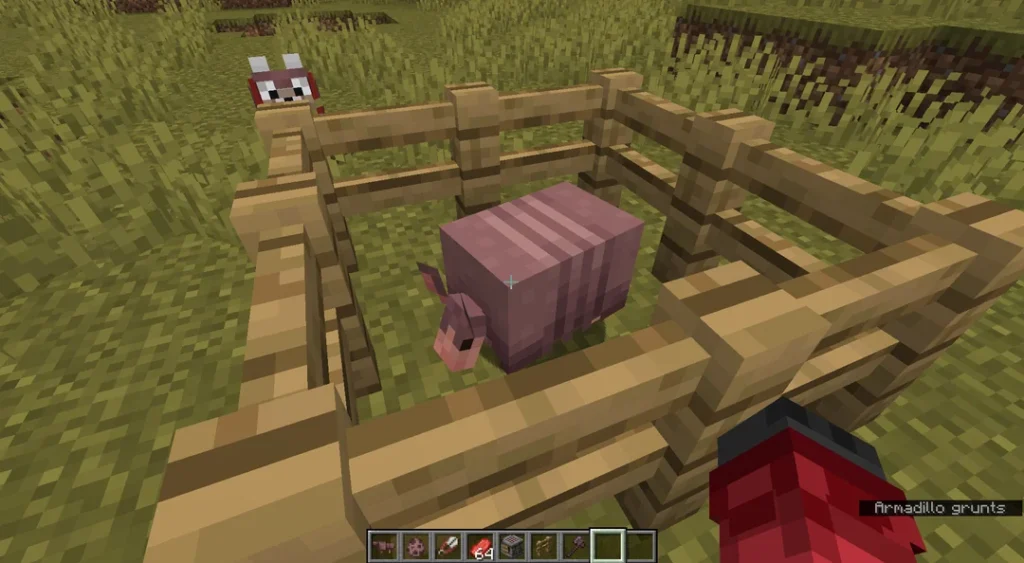 Minecraft 아르마딜로