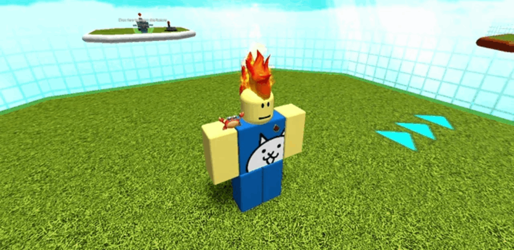 Roblox hair