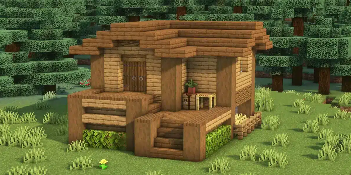 Minecraft Starter House