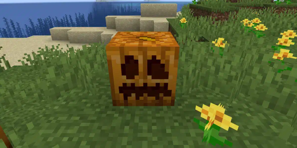 Abóbora no Minecraft: Como Encontrar, Plantar e Usar