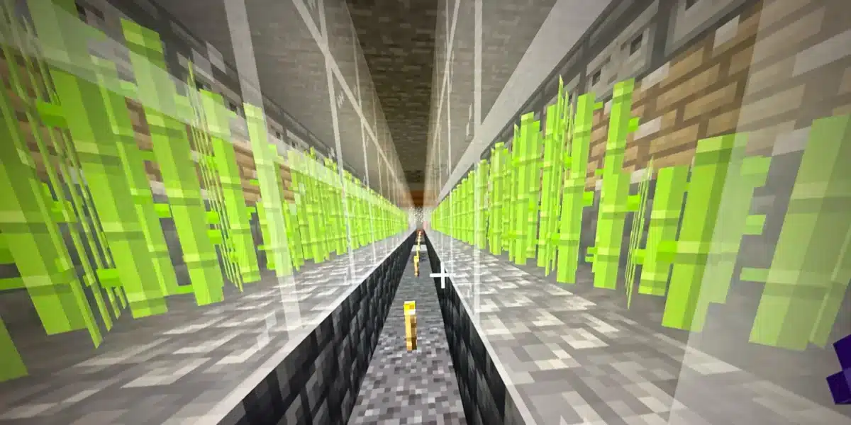 Sugar Cane Farm Minecraft: guía completa