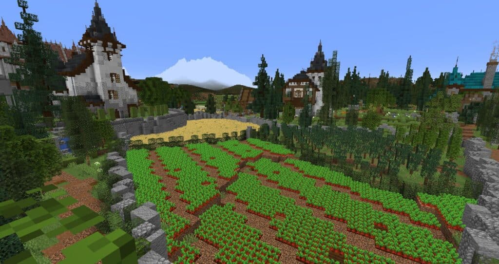 Minecraft Farmland