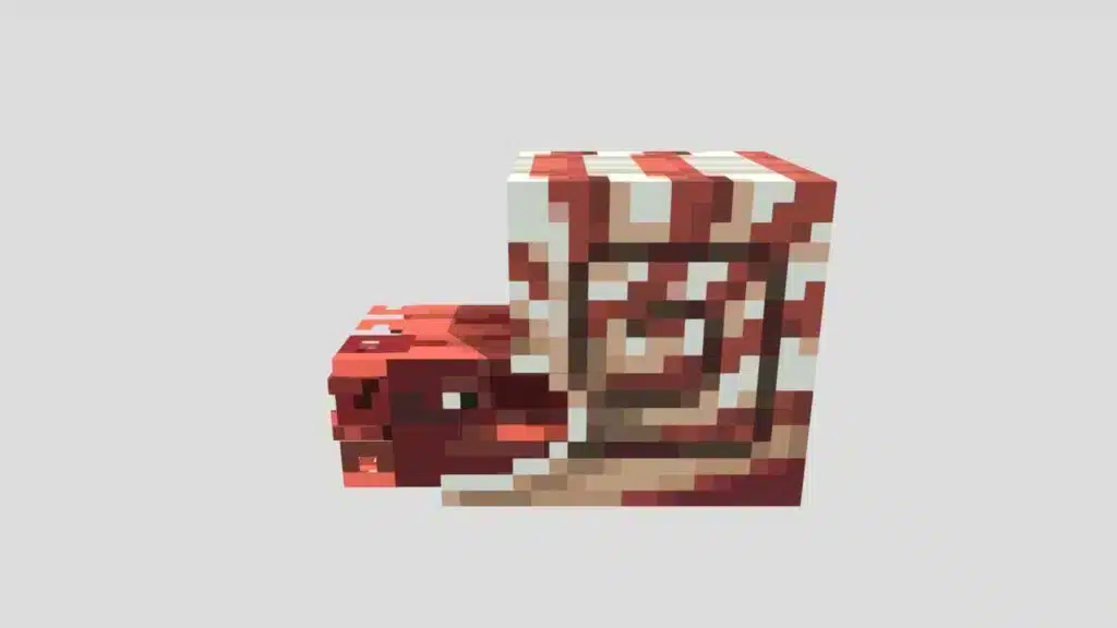 nautilus shell minecraft