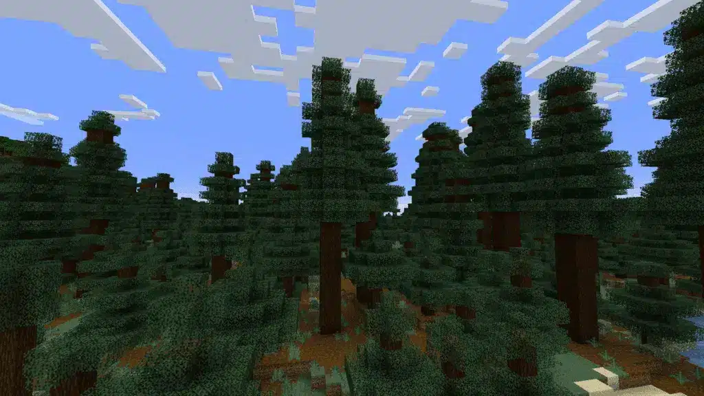 Spruce Minecraft