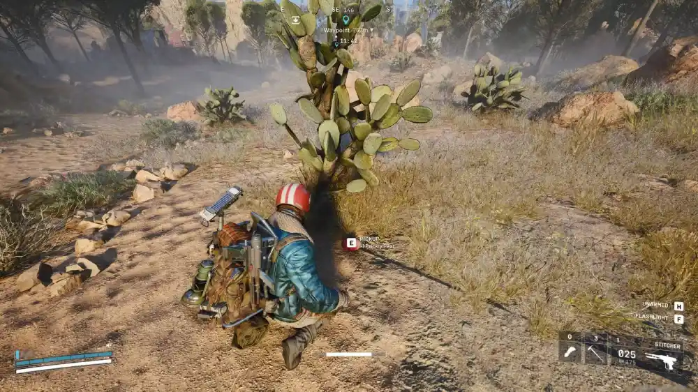 ARC Raiders Prickly Pear