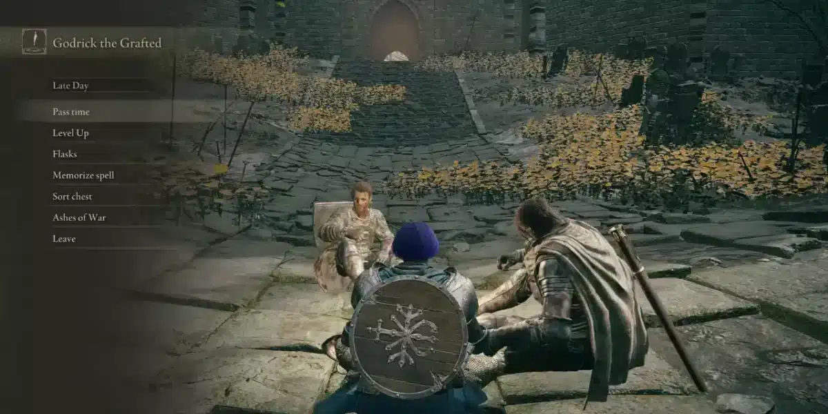 Elden Ring Seamless Co-op