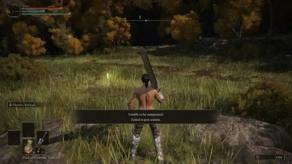 Elden Ring Seamless Co-op