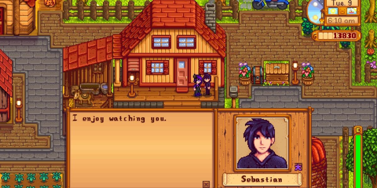 Sebastian Stardew Valley