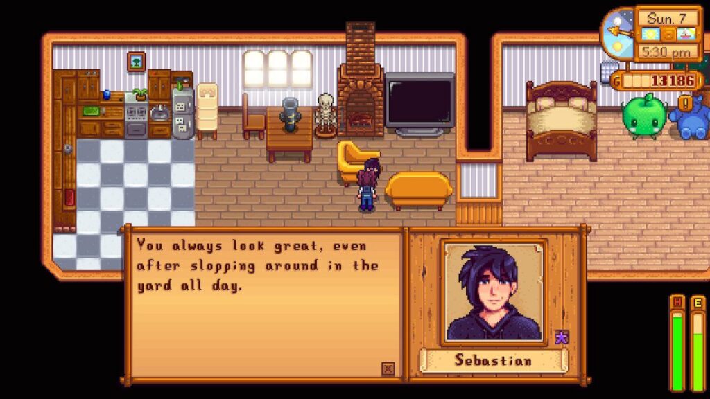 Sebastian Stardew Valley