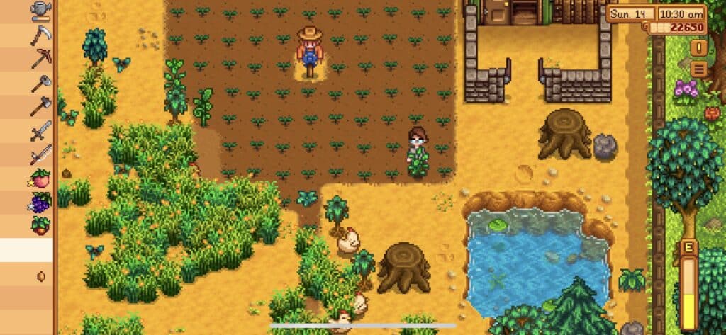 Stardew Valley Chicken