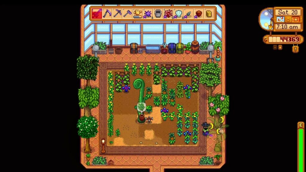 Stardew Valley Greenhouse