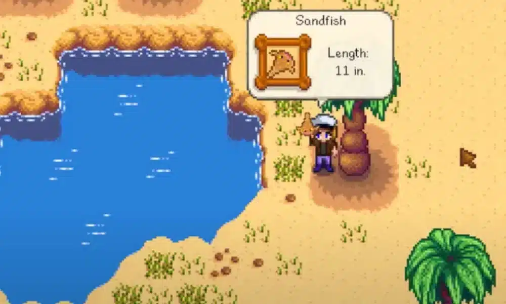 Sandfish Stardew Valley: Complete Guide to Finding and Catching It