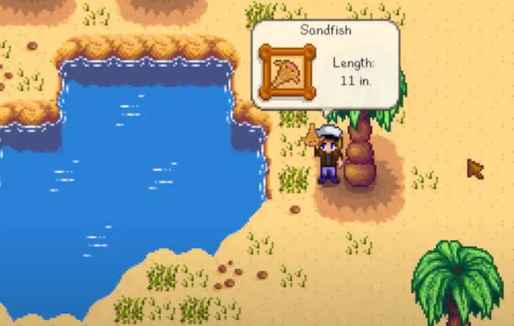 Sandfish Stardew Valley: Complete Guide to Finding and Catching It