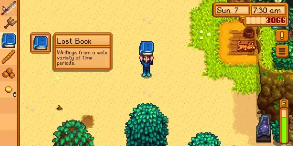 Books Stardew Valley