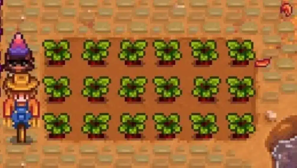 Stardew Valley Beets vs Other Fall Crops