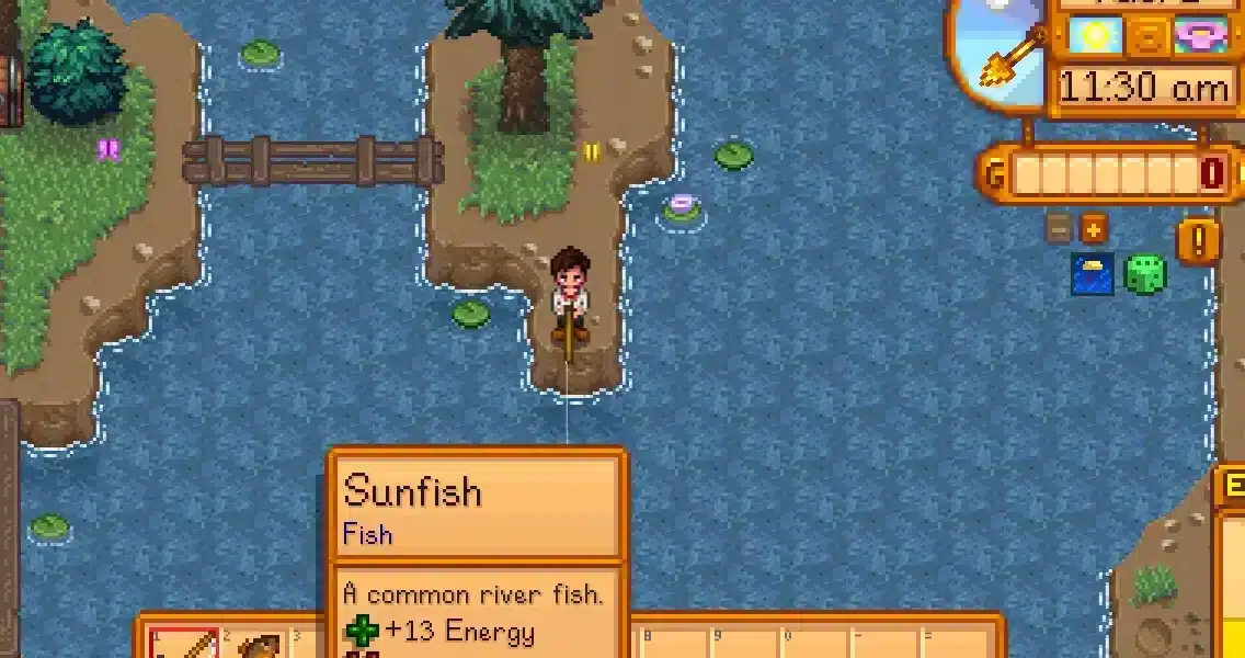 Sunfish Stardew Valley