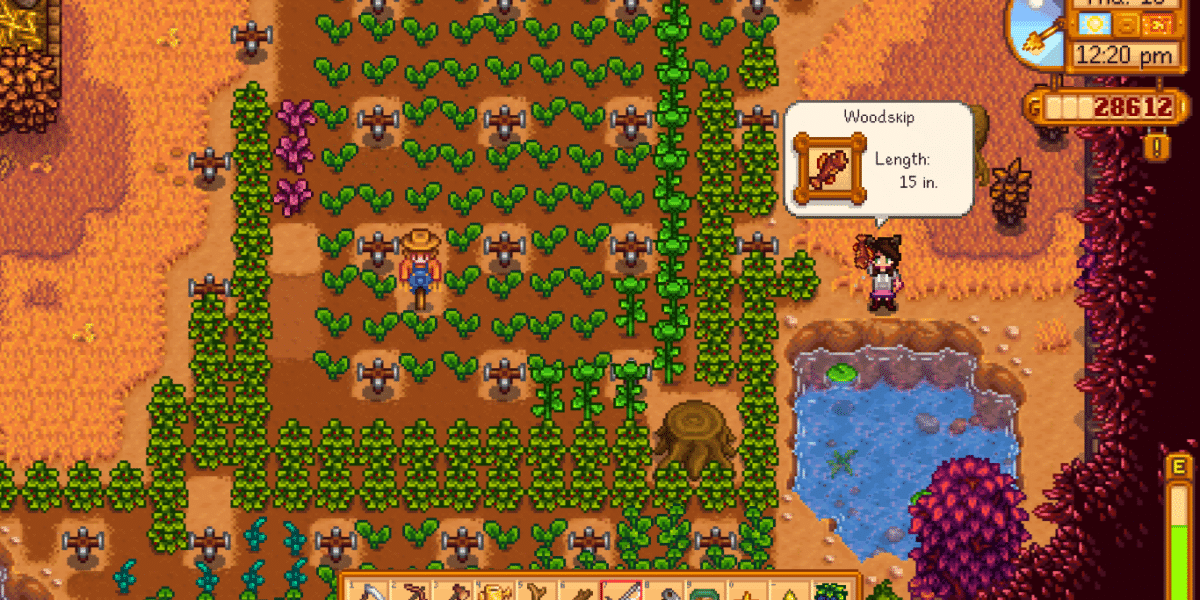 Woodskip Stardew Valley