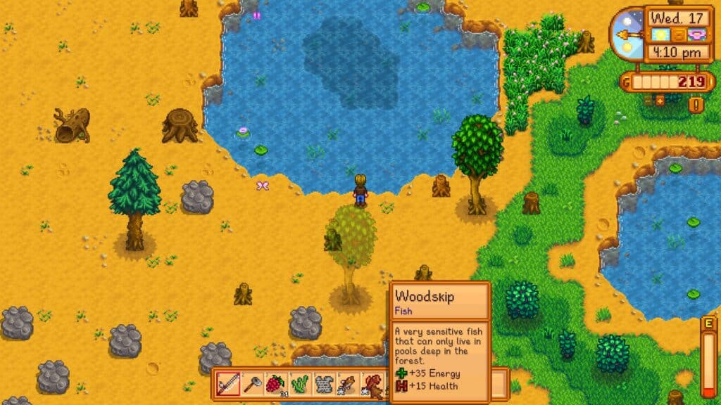 Woodskip Stardew Valley