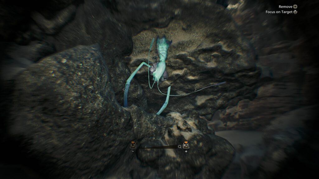 Sandstar Monster Hunter Wilds