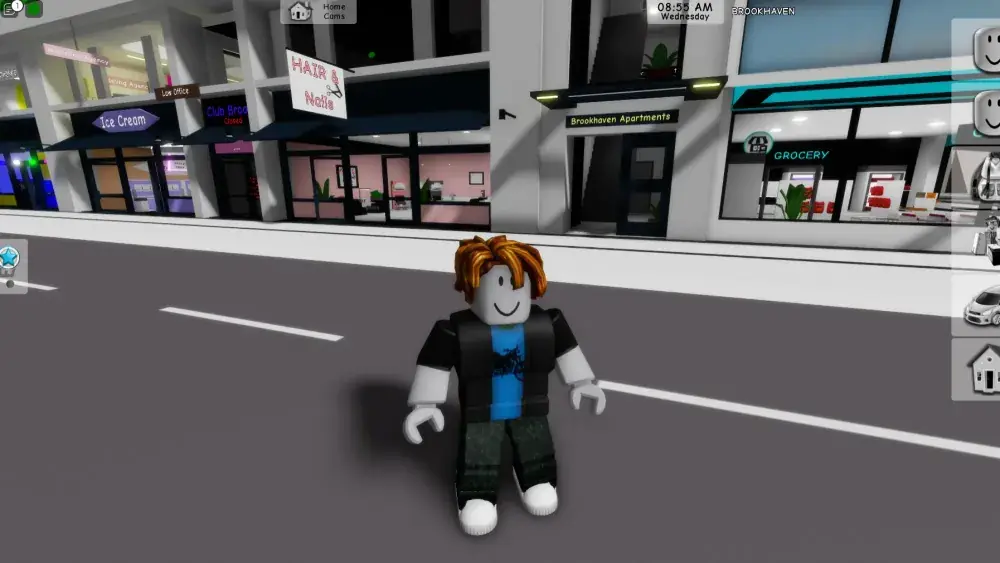 почему Roblox не работает