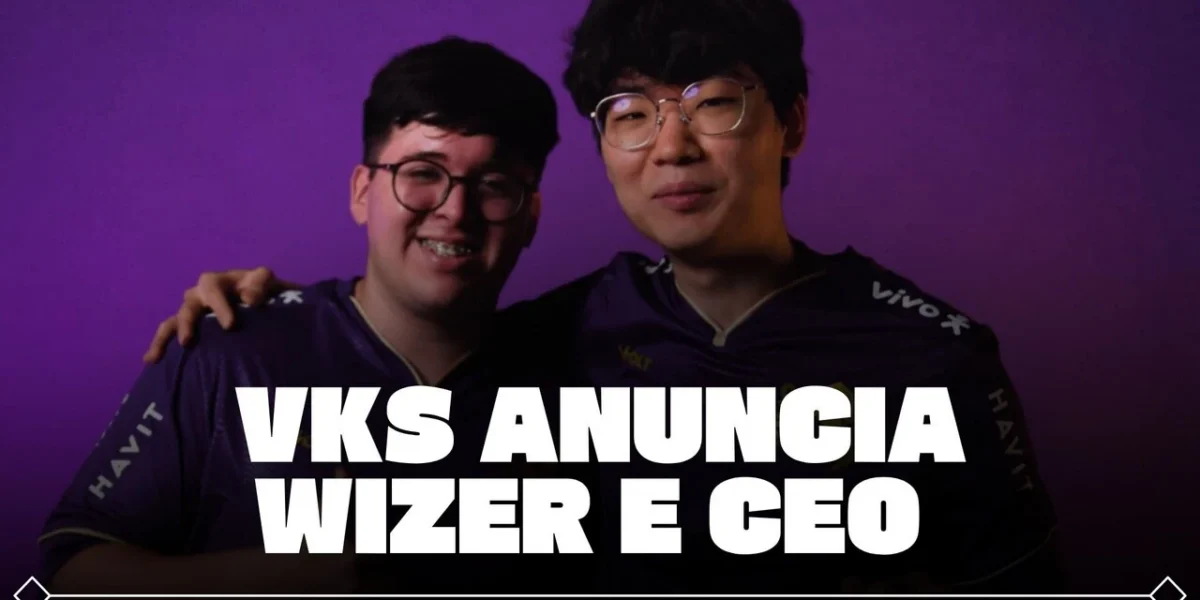 vks wizer e ceo