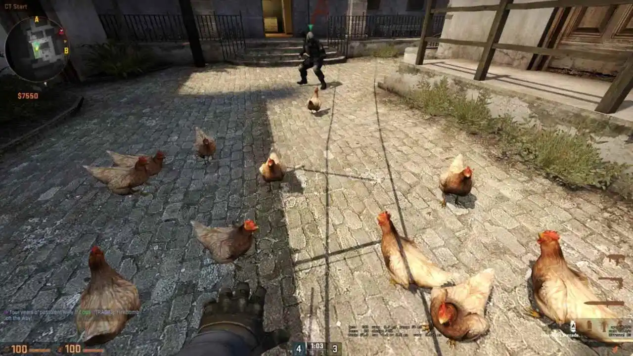 counter strike 2 chickens