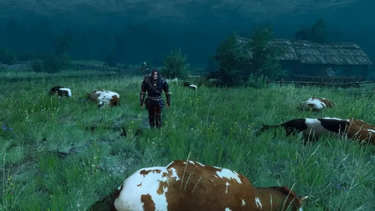 the witcher 3 curiosities